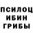 Псилоцибиновые грибы мухоморы mingistech