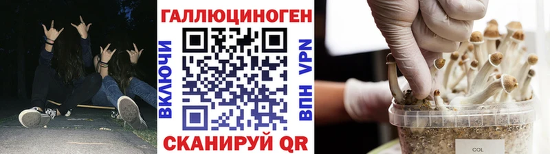 Псилоцибиновые грибы MAGIC MUSHROOMS  Купить закладки  Славск 